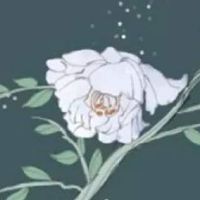 小商店取什么名字好听 独特大气的店铺起名