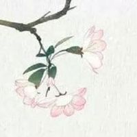 属虎开公司用什么名字好 企业起出众高端的名称