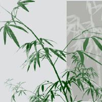11月28日,2022年每日上帝询问