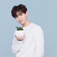 什么是12个星座男性业余？