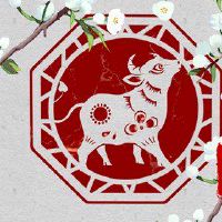 牛在2月23日如何分析
