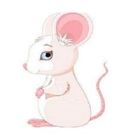 如何表达Zodia的情感爱情