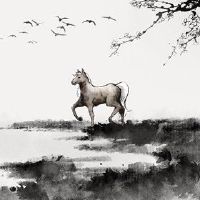 它是一名骑马于2022年5月,健康比赛预测财富是理想的。