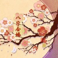 妇女可以嫁给富八个字符的行