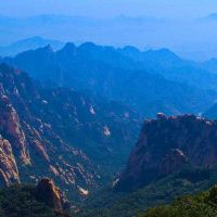 八个字符的绵羊是什么意思？