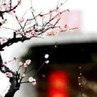 公司起名哪些字比较好 企业取朗朗上口的好名字