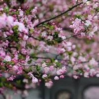 起个公司名字 寓意深远大吉企业取名