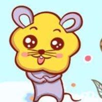 在第96次婚姻中，96年鼠标的婚姻是如何