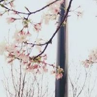 有个性的超市名字最新 店铺取名顺口简约有文采