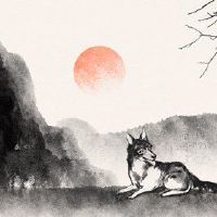 2022年萧狗四大财富有所改善