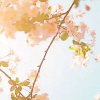 公司名大气又旺财 企业取独特个性的名字