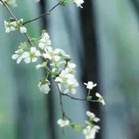 2022年霸气一点的公司名字 精选企业取名常用字