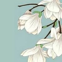 工厂取什么名字吉利 特色公司起名招财易记