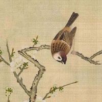 车牌尾号55的寓意 车牌号码卦象的吉凶