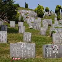 2022寅寅年农农5月17日,这是一个埋葬吗?