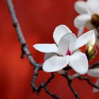 独特好听的零食店名字 最新版大气店铺取名