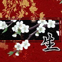 第一次财富于2022年3月24日分析。