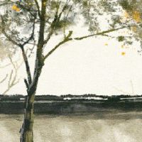 辛巳日柱2022年运势 财运不济有漏财之势