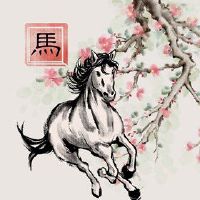 八个人物婚姻属于龙和马婚姻比赛吗?