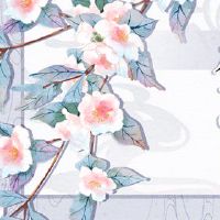 Smootymon婚姻不好