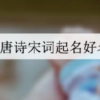 唐诗宋词起名好名字大全女