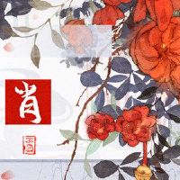 迟到的婚姻,婚姻,兔子,马,更晚,幸福