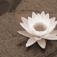 八字天生不太好？已有pvc缓解！