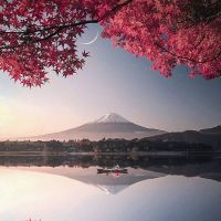 2019年4月1日出生的双男孩的名称是什么?五个要素是什么?