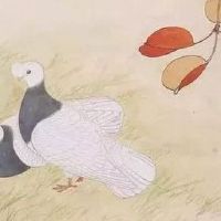 17是个非常吉利的数字 投资运旺盛的大吉车牌组合