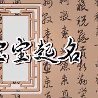 十二生肖是一只老虎，如何使用这个词，虎孩子，怎么更好？