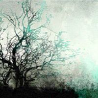 为什么说农历2月22日出生的人很可怕 地位崇高和风化雨的主宰