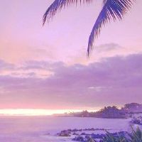 沙子最好的是什么？