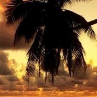 风水吉祥物麒麟的含义是什么？