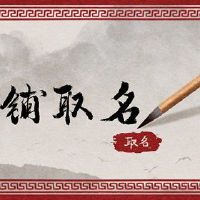 花店名称美丽的浪漫名称需要清新典雅