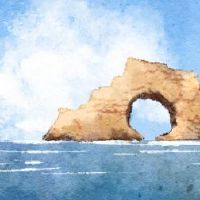 在2022年,牡蛎的八个角色对人民有好处。