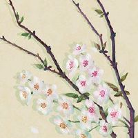 征得领先的商业名称