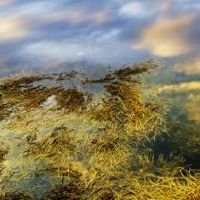 五个元素往往是最好的，最强大的财富