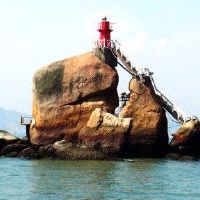 尼克日元是什么意思？