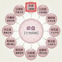 紫薇斗数天才星在命宫是什么意思?