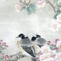 车牌号第一个字母代表什么意思 车牌字母的重要性讲解