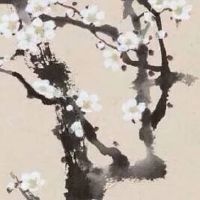 79属羊2022年会比2021年好吗 以低调迎大运