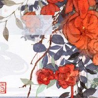 十二生肖卓越广播2022年12月14日蒂特萨蒂