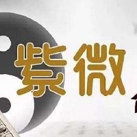 紫薇斗数飞廉星入命宫是什么意思