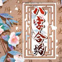 那个适合嫁给好妻子的女人不是目前