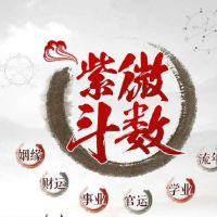 紫微星盘子女宫四化入十二宫