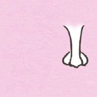 女人是开放的