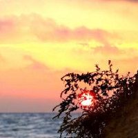 命运的女士最有信心是什么？