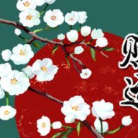 家里摆放什么能招财镇宅 招财进宝辟邪转运