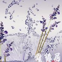 化妆品店名大全时尚洋气