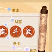 2022年,最好的紫色,主要明星,七杀独特